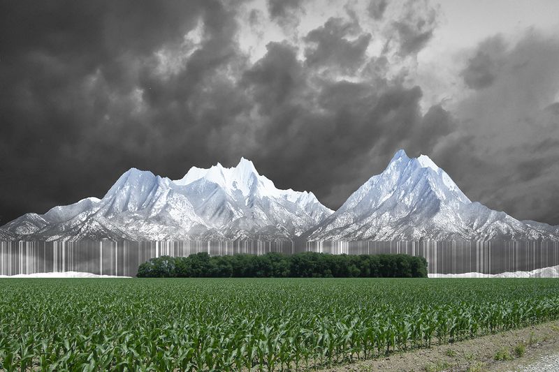 © Ellen Jantzen - TaosMaize