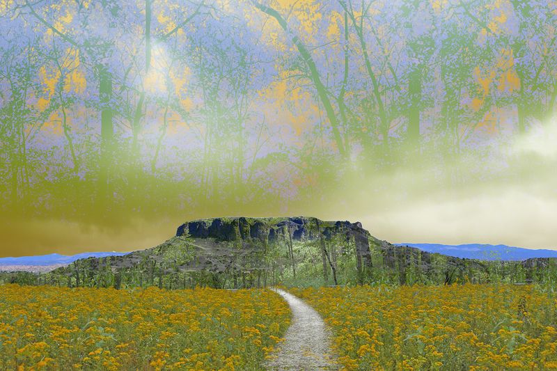 © Ellen Jantzen - Through the Flowers to Black Mesa