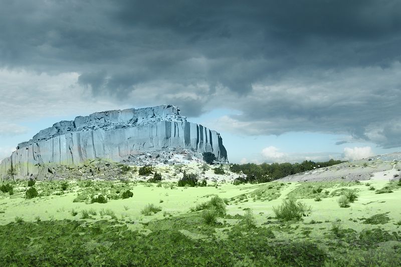 © Ellen Jantzen - Adapting Pigment