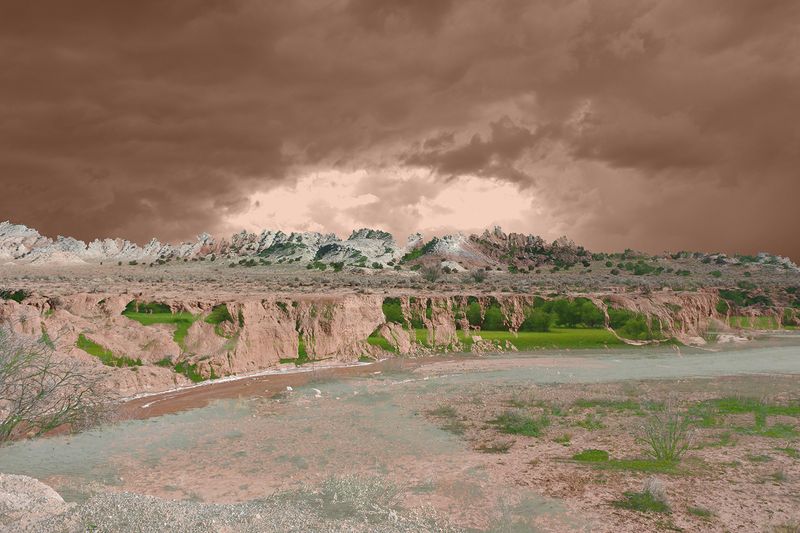 © Ellen Jantzen - Acquiring Affinity