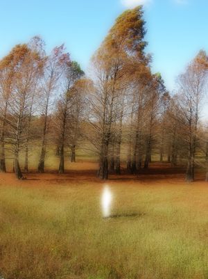 Losing Reality; Reality of Loss