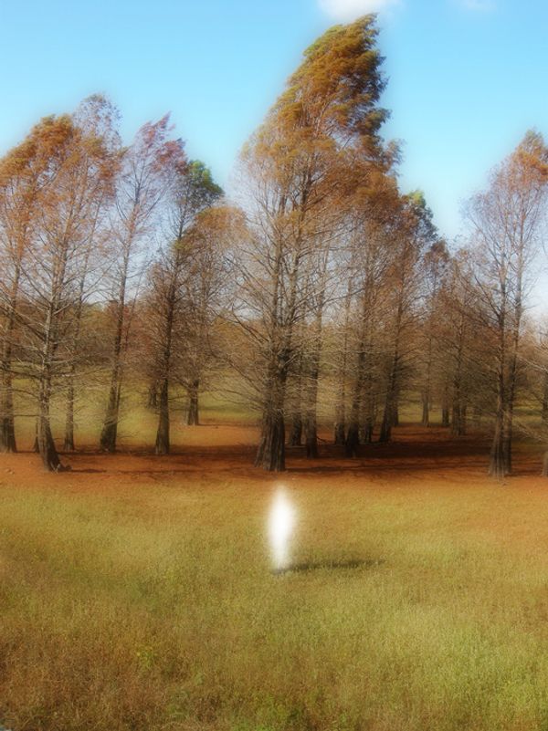 © Ellen Jantzen - Image from the Losing Reality; Reality of Loss photography project
