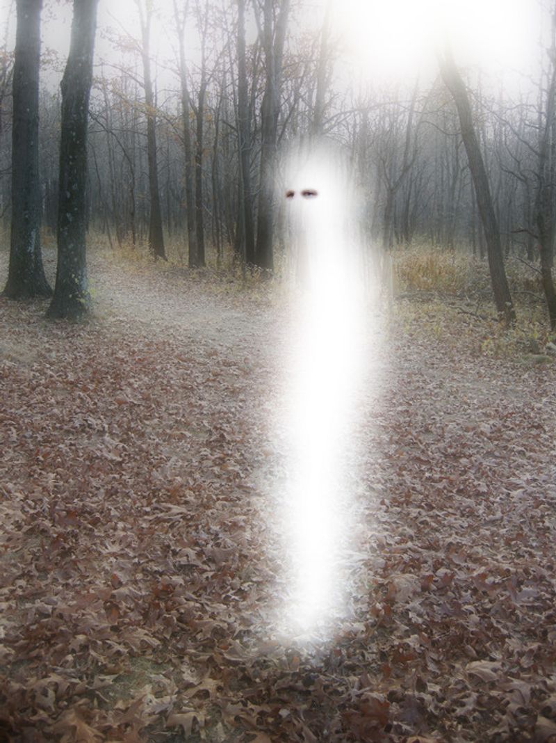 © Ellen Jantzen - Image from the Losing Reality; Reality of Loss photography project