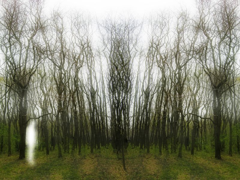 © Ellen Jantzen - Image from the Losing Reality; Reality of Loss photography project