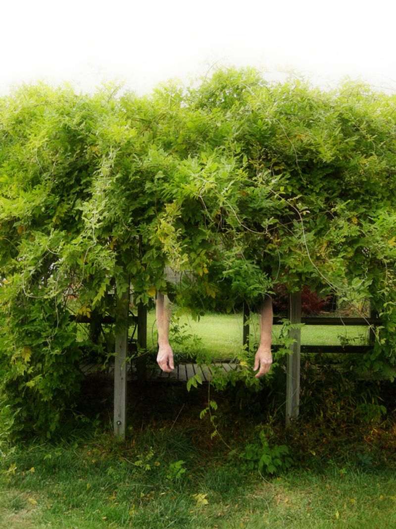 © Ellen Jantzen - Image from the Losing Reality; Reality of Loss photography project