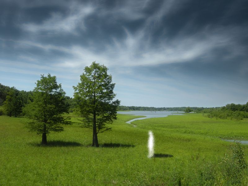 © Ellen Jantzen - Image from the Losing Reality; Reality of Loss photography project