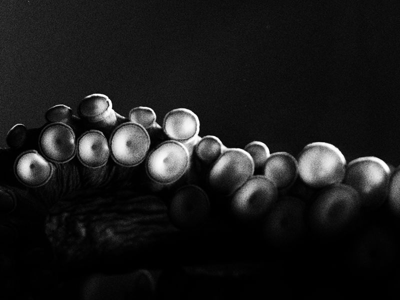 © Irina Shkoda - Image from the Come Inside photography project