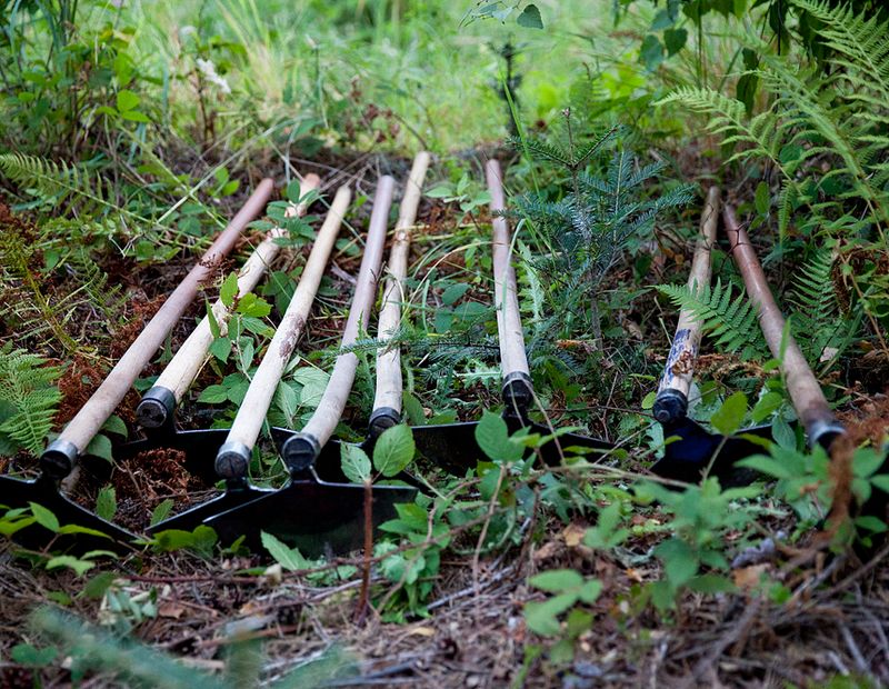 © Damian Chrobak - Image from the Forest People photography project