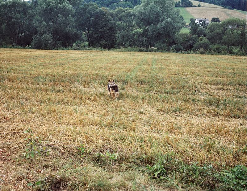 © Damian Chrobak - Image from the Forest People photography project