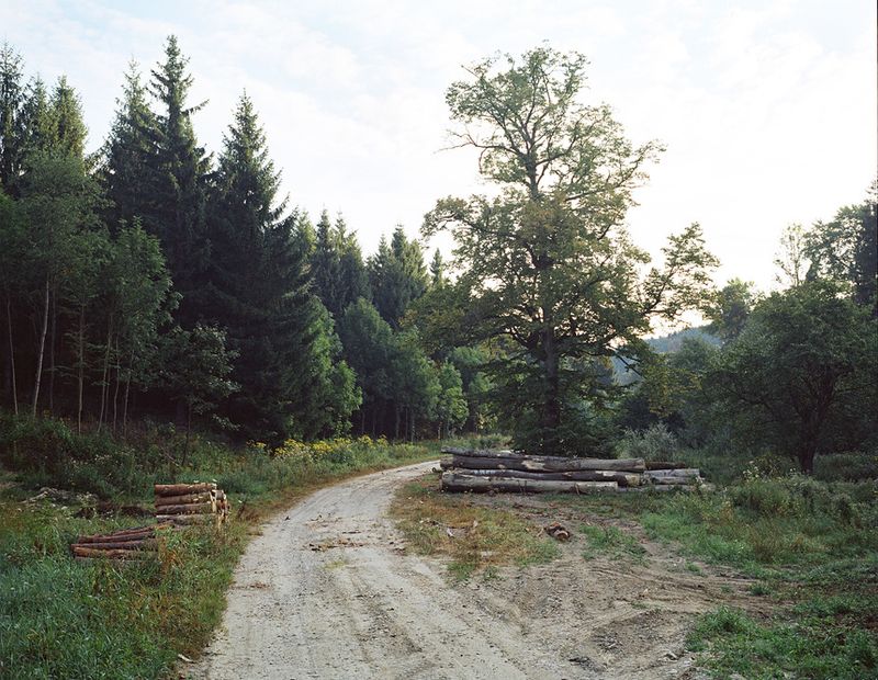 © Damian Chrobak - Image from the Forest People photography project