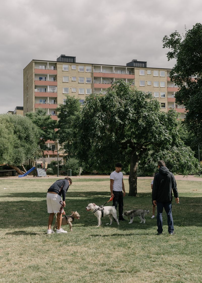 © Nora Schwarz - Image from the Rosengård photography project