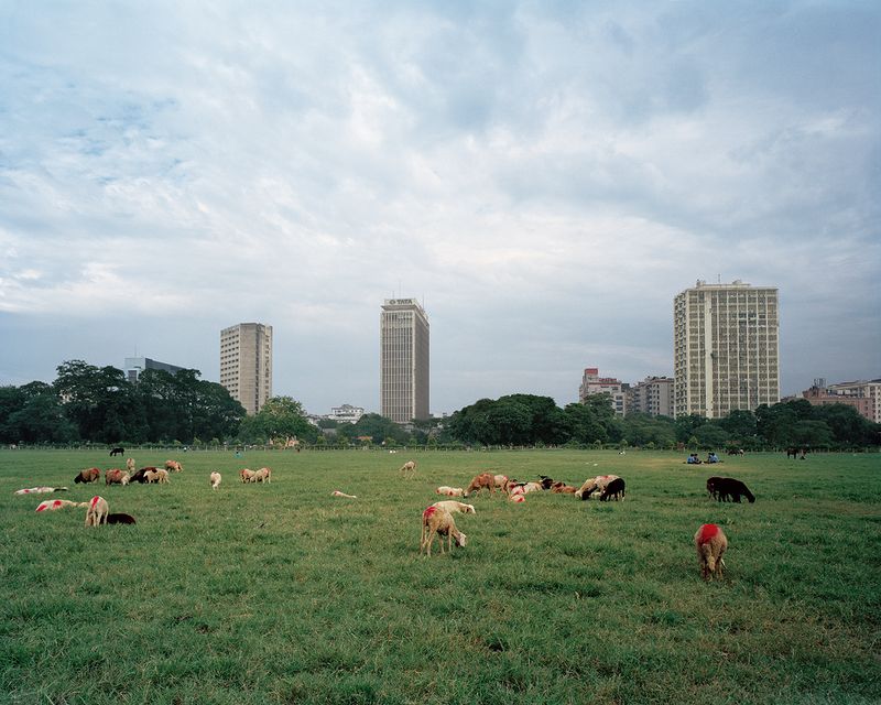 © Bharat Sikka - Maidan, Kolkata 2005
