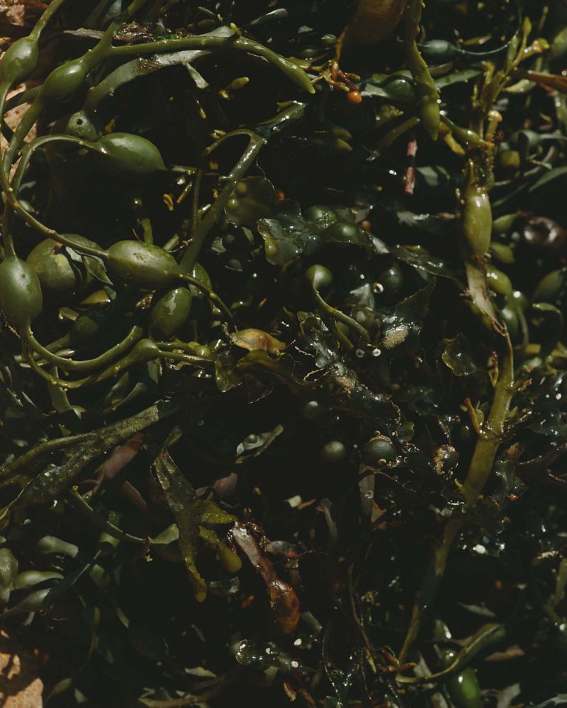 © daniel jack lyons - Image from the Solus photography project