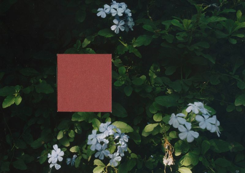 © Berta Vicente - Image from the I remember photography project