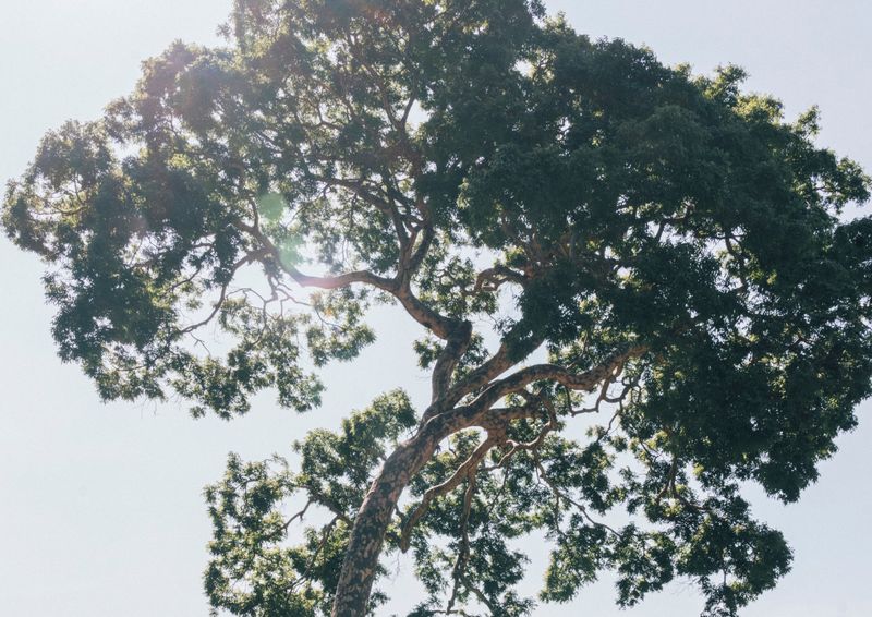 © Berta Vicente - Image from the I remember photography project