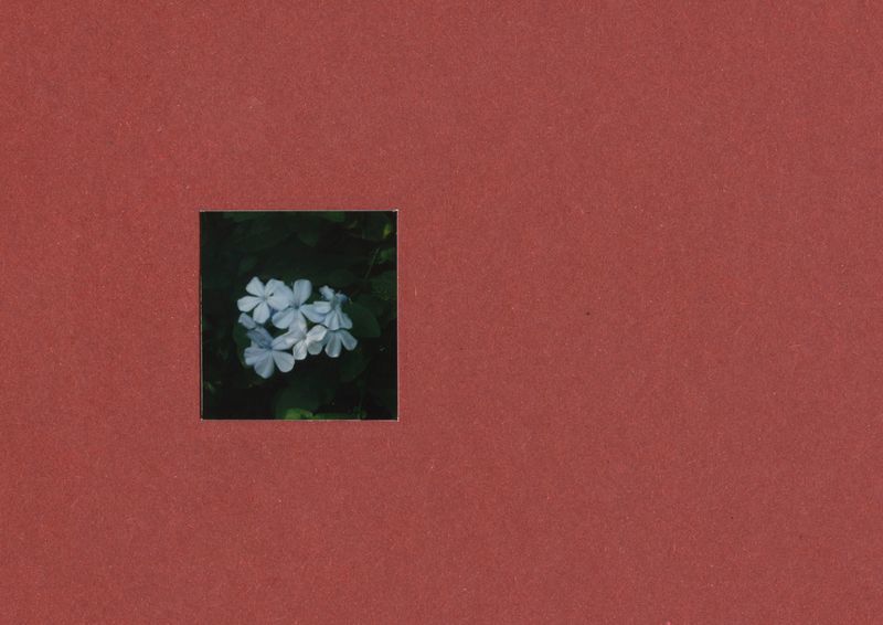 © Berta Vicente - Image from the I remember photography project