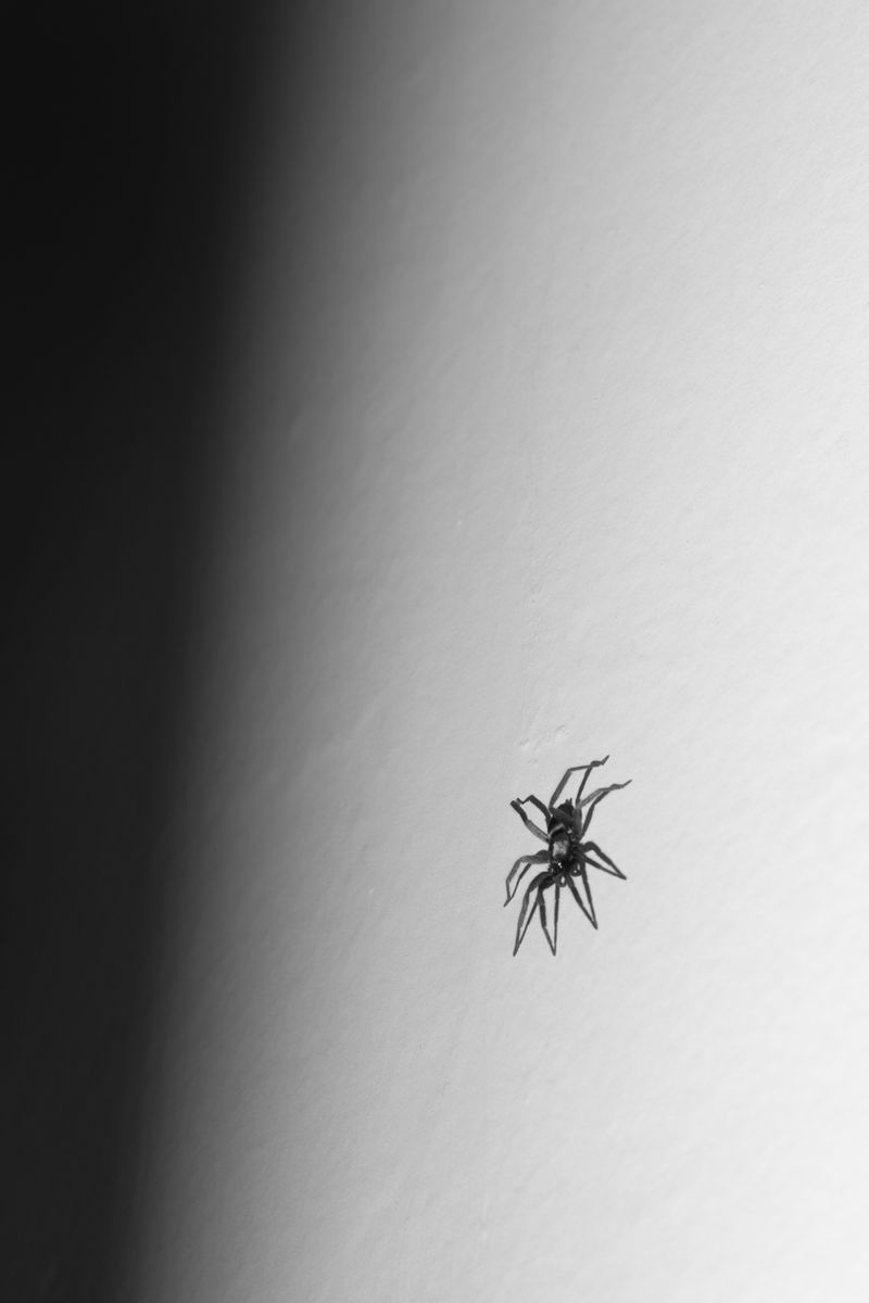 © Kat Bawden - Image from the Perceptual Isolation photography project