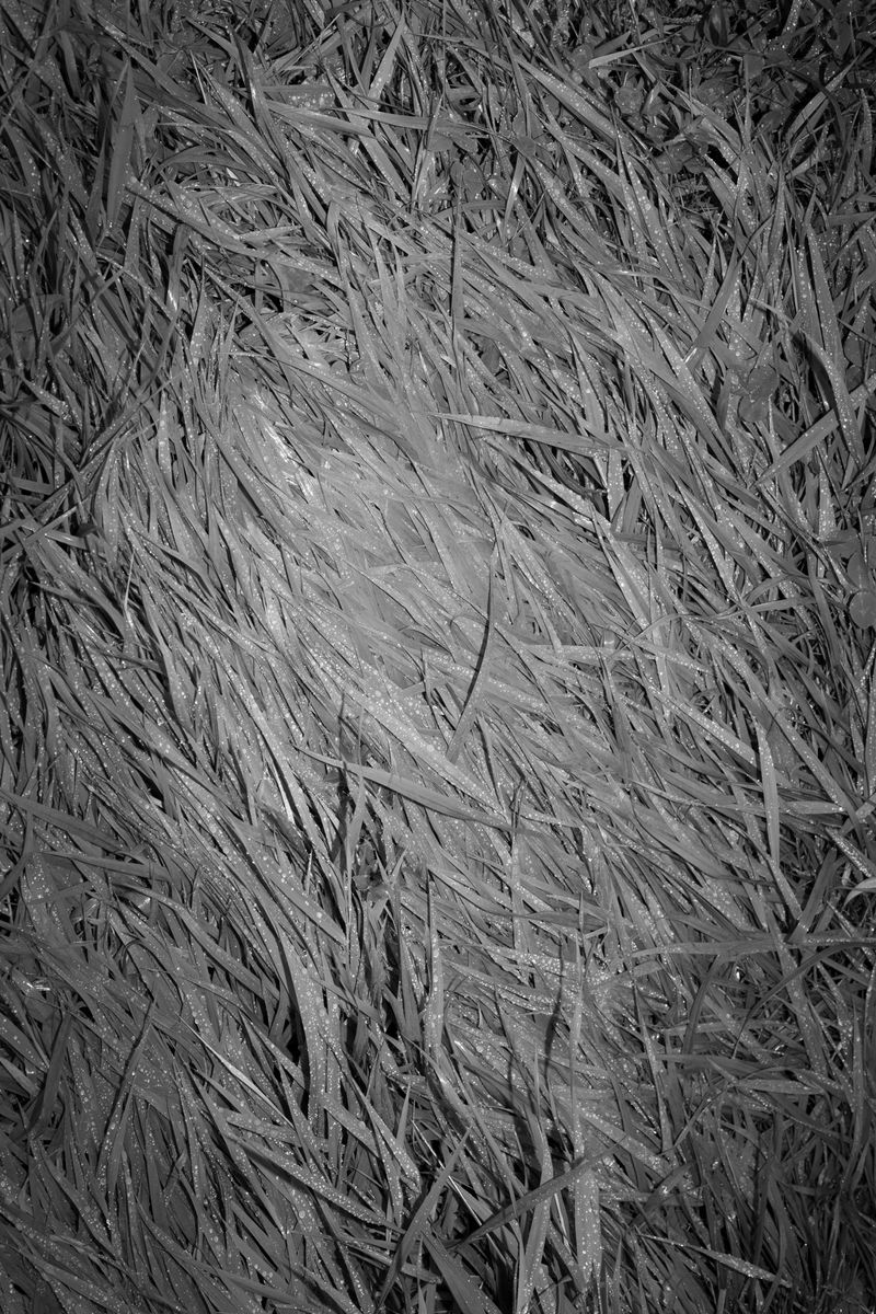 © Kat Bawden - Image from the Perceptual Isolation photography project