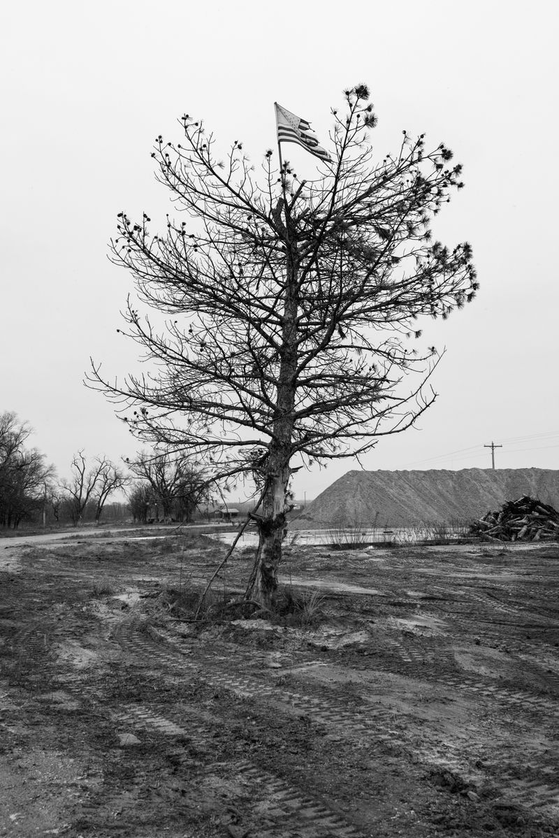 © Richard Sharum - Flag Tree. Niobrara, Nebraska. 12.18.2021