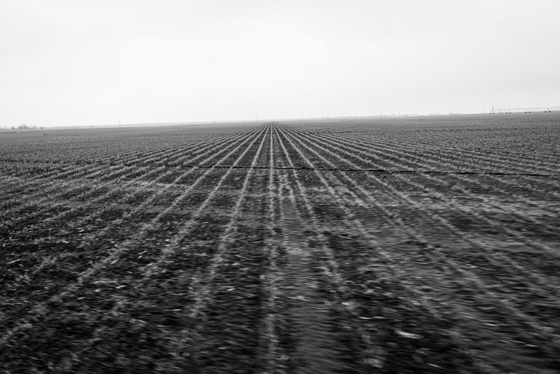 © Richard Sharum - Corn Field. Pearsall, Texas. 03.24.2021