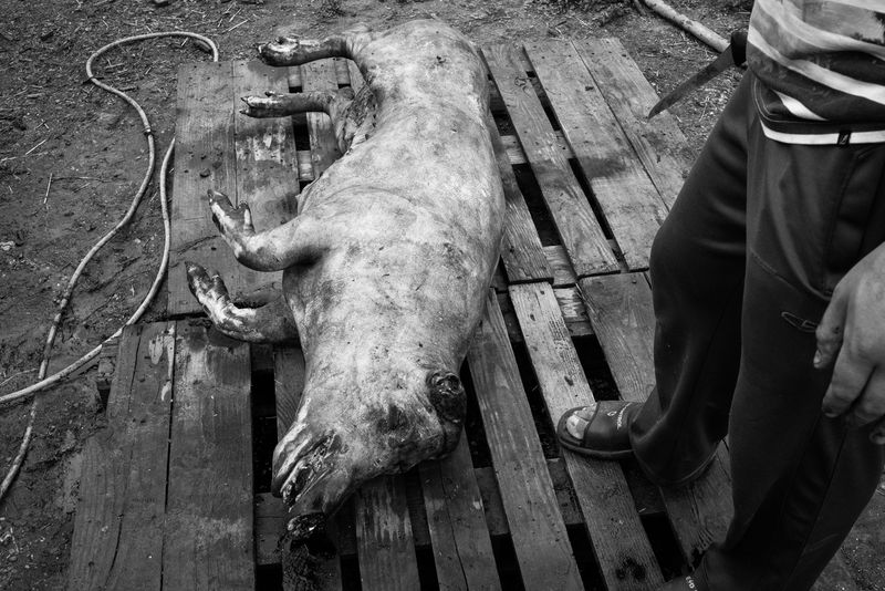 © Richard Sharum - Image from the The Curious Case of Sand Branch photography project