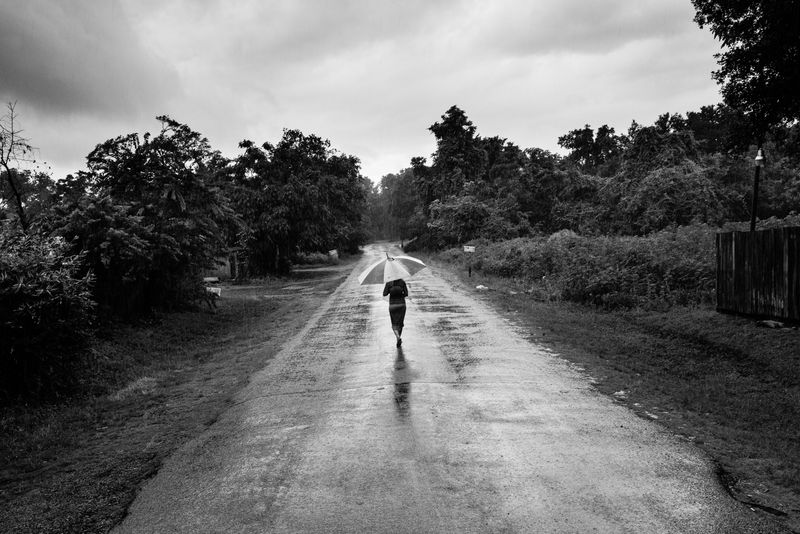 © Richard Sharum - After a rainstorm. 2019.