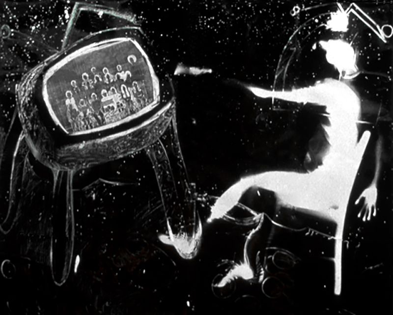 © Karen Amy Finkel Fishof - Moonage Daydream - photogram with Xerox print - 100"x64"