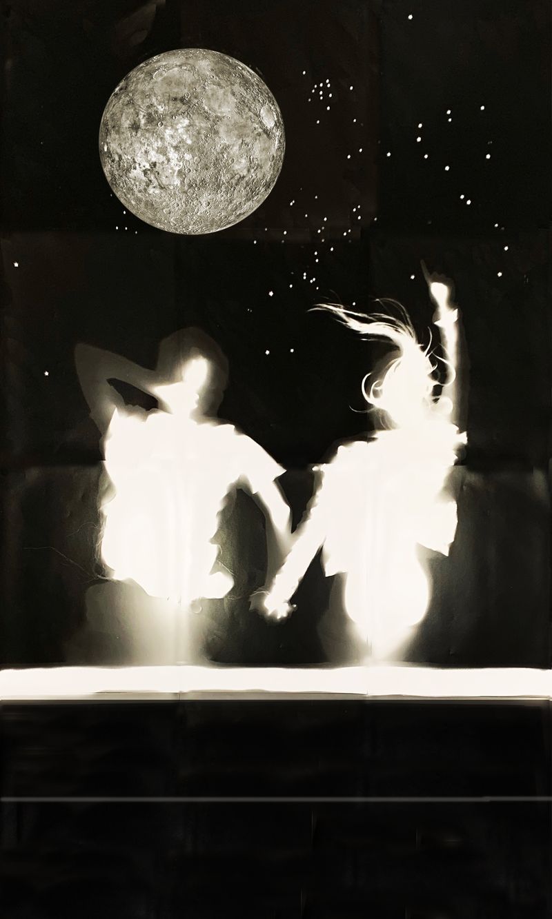 © Karen Amy Finkel Fishof - "Moonshot" photogram with collage 80"x48"