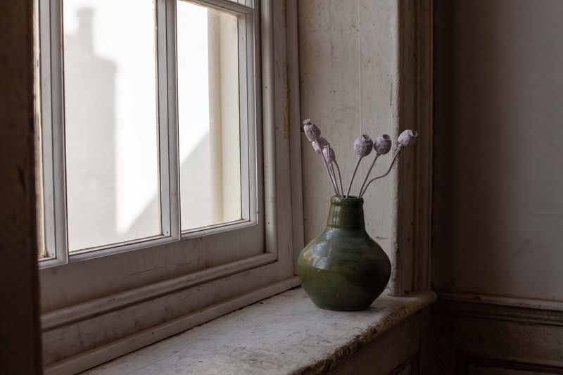 © Heather McDonough - Poppy Heads