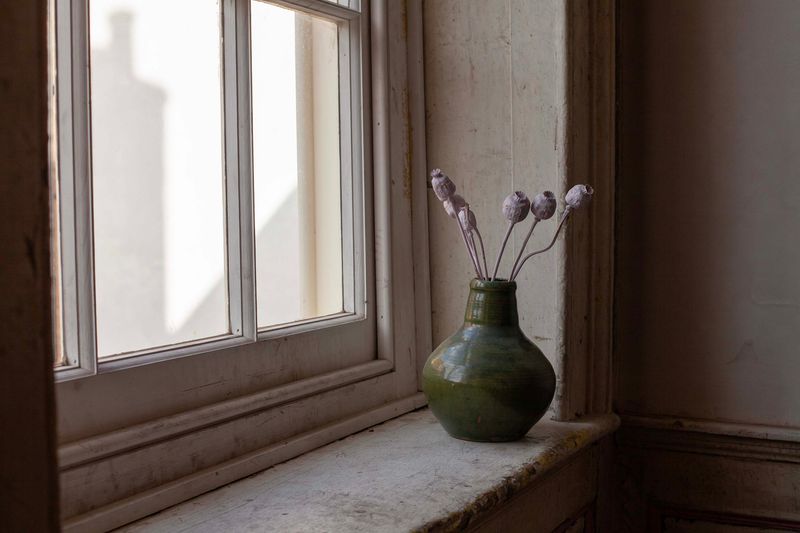 © Heather McDonough - Poppy Heads