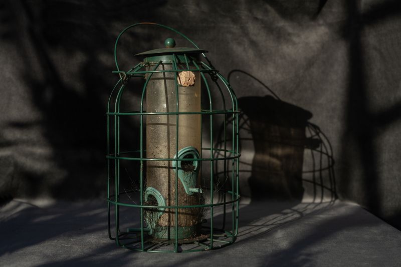 © Heather McDonough - Subtle Growth