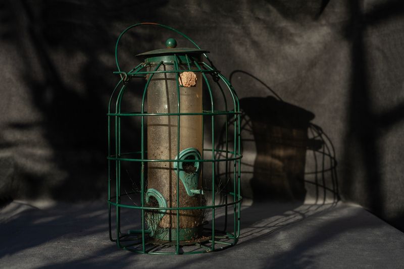 © Heather McDonough - Subtle Growth