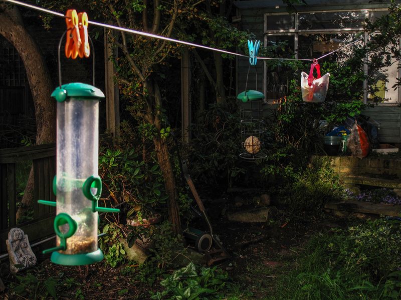 © Heather McDonough - birdfeeders