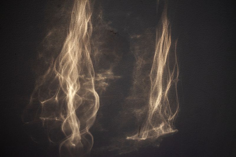 © Heather McDonough - bright April sunshine