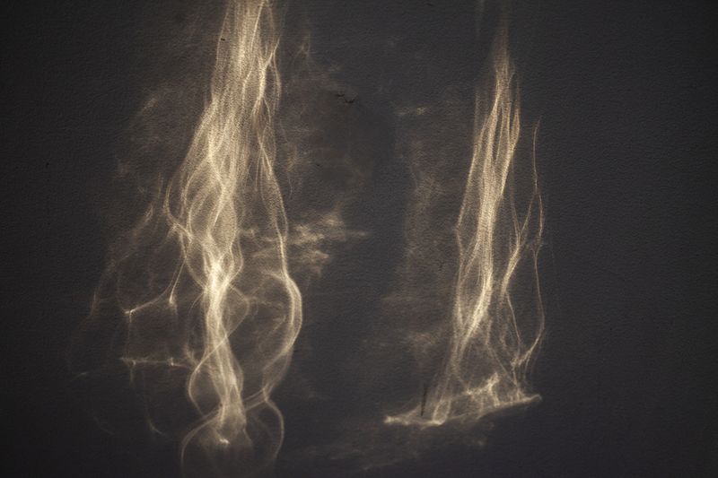 © Heather McDonough - bright April sunshine