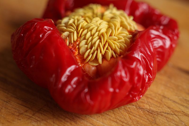 © Heather McDonough - forgotten pepper