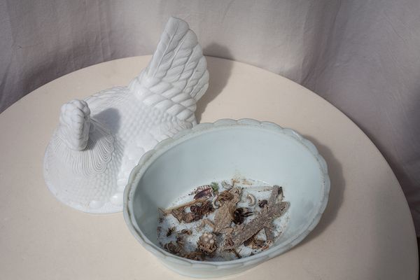 © Heather McDonough - Image from the Surface Tension (In Blue & White) photography project