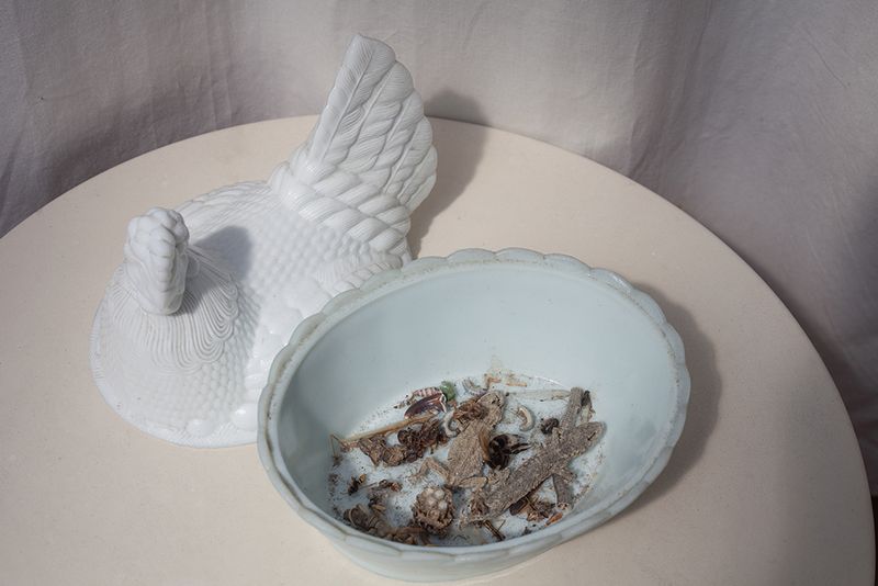 © Heather McDonough - Image from the Surface Tension (In Blue & White) photography project