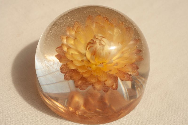 © Heather McDonough - Image from the Surface Tension (In Blue & White) photography project