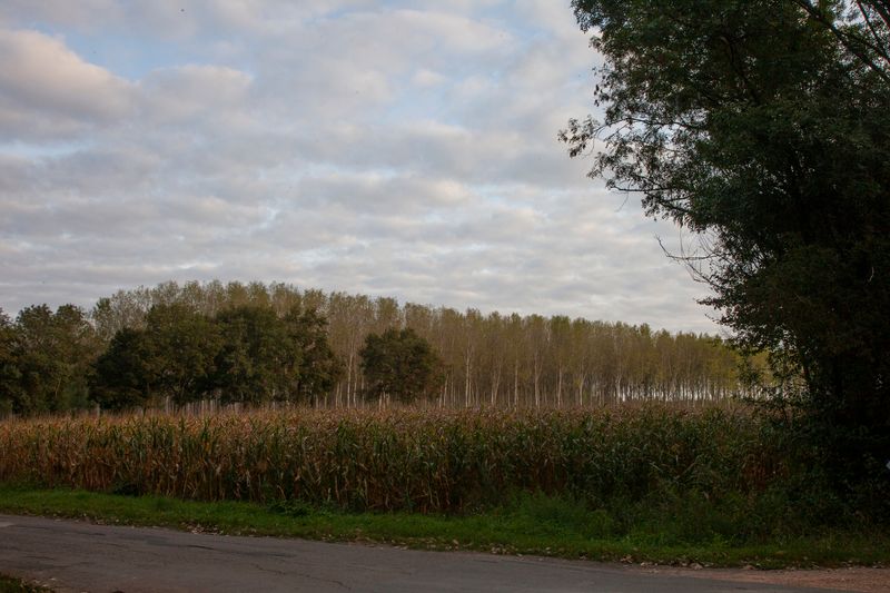 © Heather McDonough - Image from the Siegfried Line: photography project