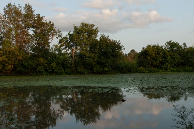 © Heather McDonough - Image from the Siegfried Line: photography project