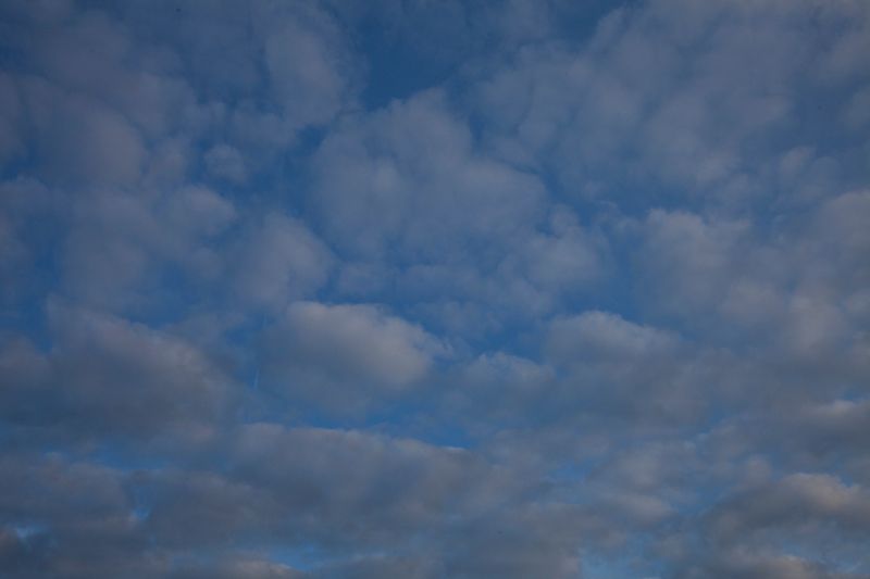 © Heather McDonough - Image from the Siegfried Line: photography project