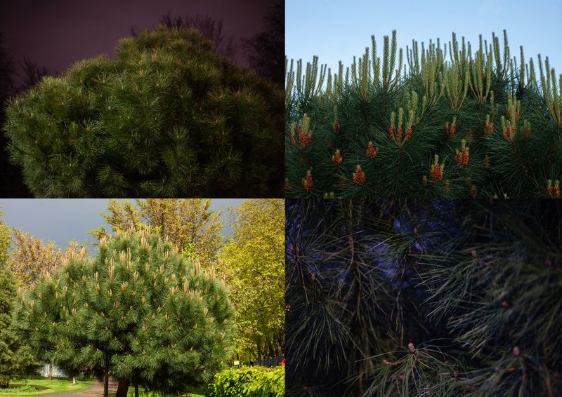 © Heather McDonough - Image from the Caught in Between photography project