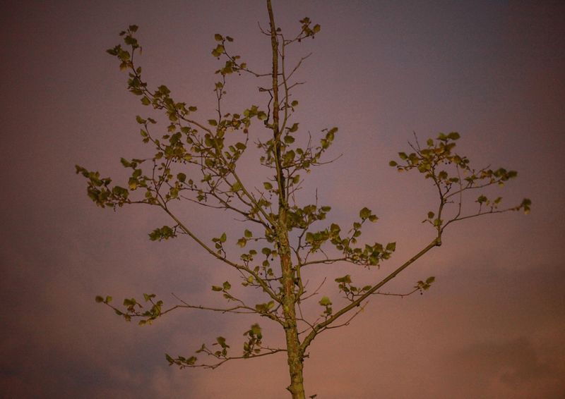 © Heather McDonough - Image from the Caught in Between photography project