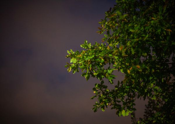 © Heather McDonough - Image from the Caught in Between photography project