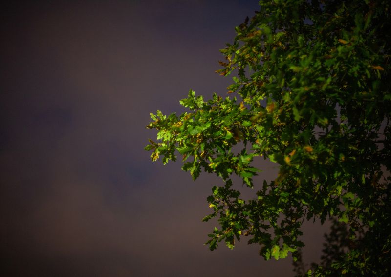 © Heather McDonough - Image from the Caught in Between photography project