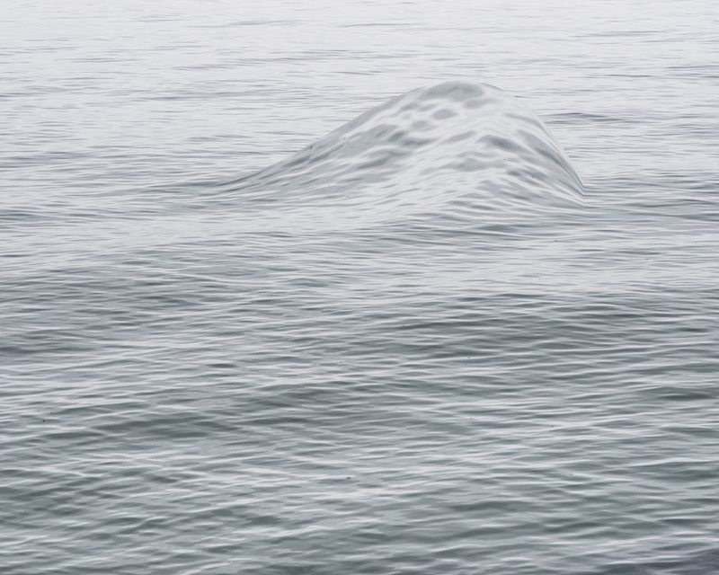 © Tomasz Fall - Image from the Le premier homme (the first man) photography project