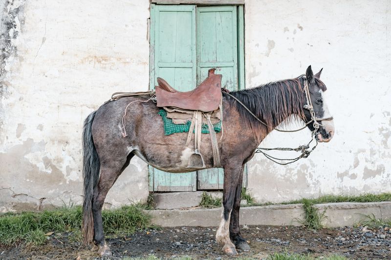 © Nicolas Brunetti - Image from the El Cocuy: The last guardians of the mountains photography project