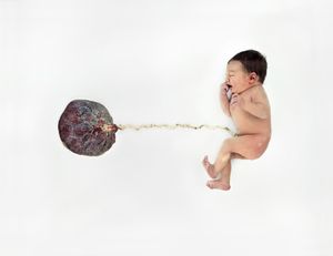 The Nature of Things