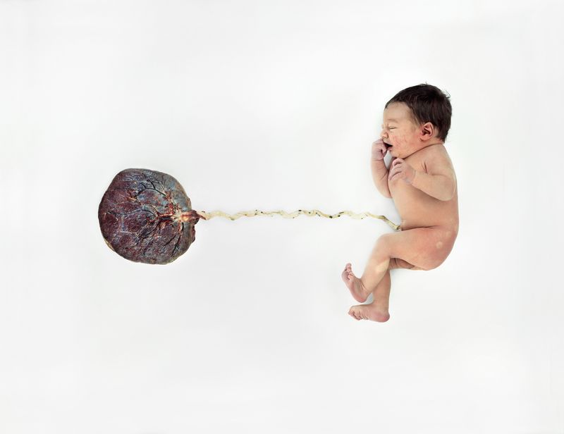 © Balazs Turos - Image from the The Nature of Things photography project